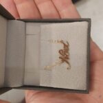 20221201 125413 Scaled 1.jpg